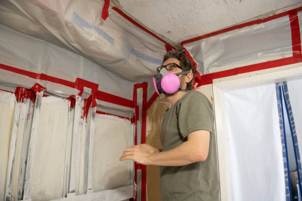 Best Mold Documentation for Insurance Claims  in Pinckney, MI