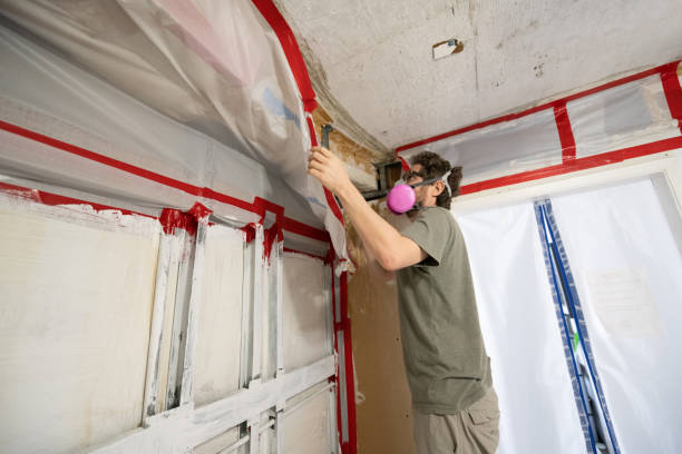 Best Post-Construction Mold Inspection  in Pinckney, MI