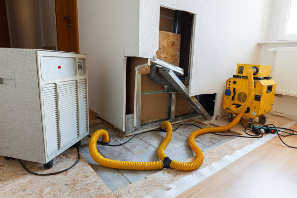 Professional Mold Removal in Pinckney, MI