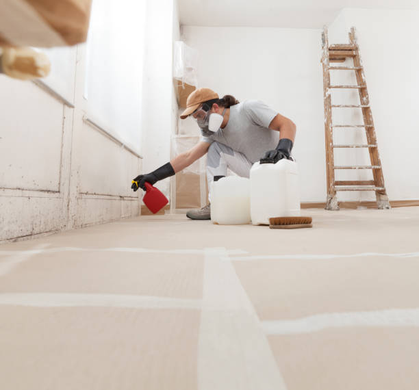 Best Indoor Air Quality Assessment  in Pinckney, MI