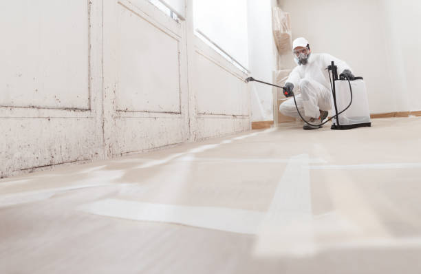 Best Crawl Space Mold Remediation  in Pinckney, MI